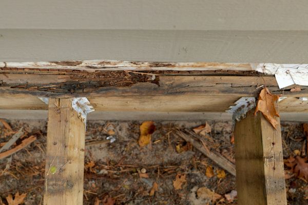 Alexandria Wood Rot Repair