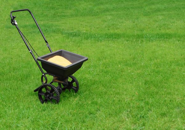 Alexandria Lawn Treatment