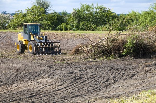 Alexandria Land Clearing