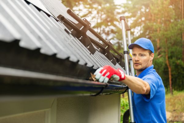 Alexandria Gutter Service