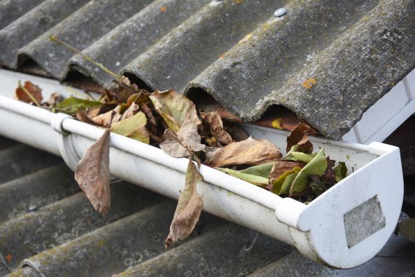 Alexandria Gutter Cleaning