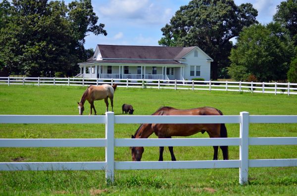 Alexandria Fence Service